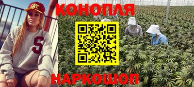 стаф Будённовск