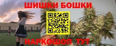 стаф Будённовск
