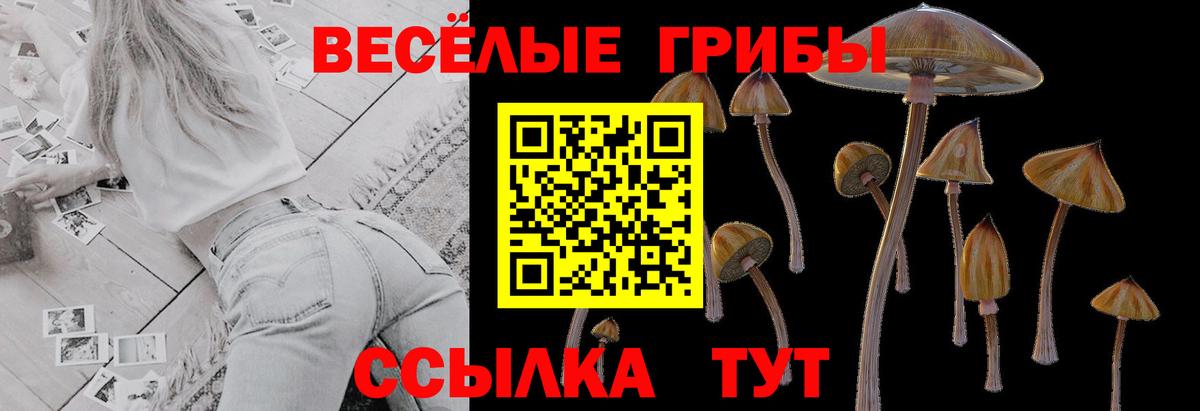 даркнет сайт  Вход с VPN  Клинцы  Псилоцибиновые грибы GOLDEN TEACHER 